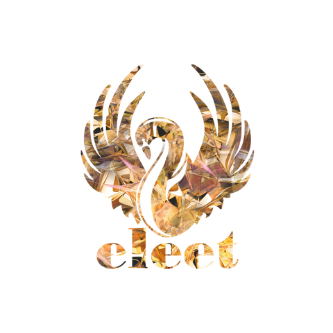 ELEET