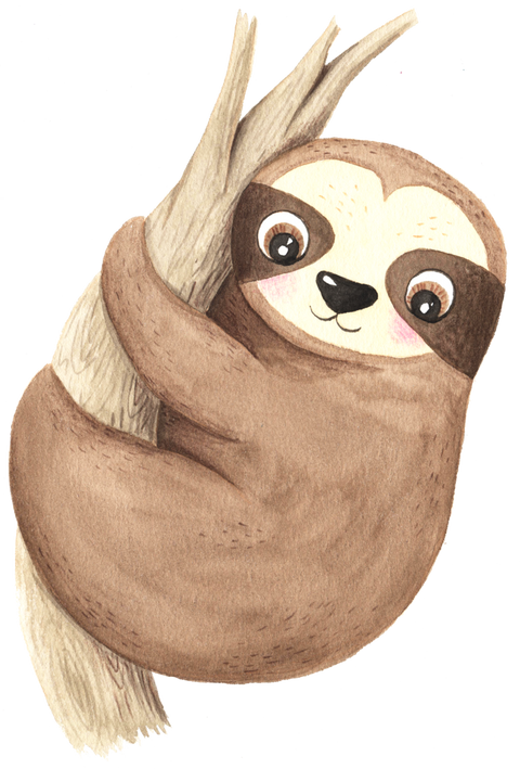 SLOTH AQUARELL